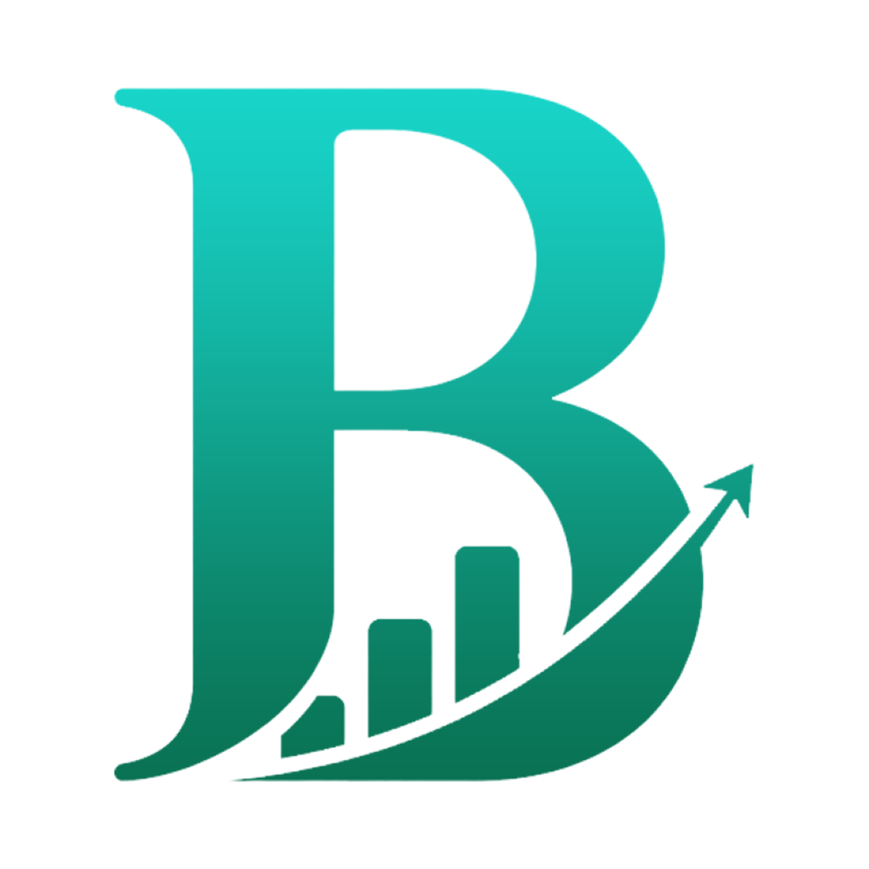Budgetiqo Logo